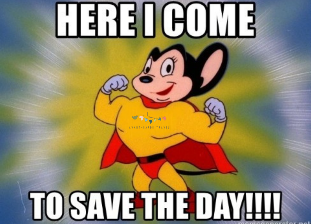 A meme with a heroic cartoon mouse that reads "Here I come to save the day!!!!"